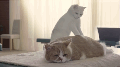 Классные гифки (25 гифок) Классные гифки (25 гифок)