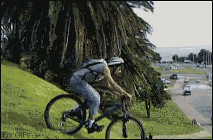 Спорт