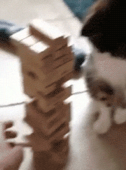 GIF-доказательство, что коты - чертовски весёлые ребята GIF коты юмор