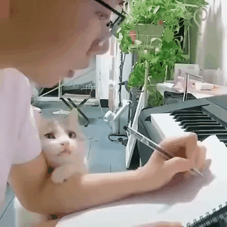 Это любовь! Это любовь!