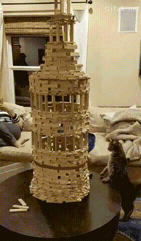 GIF-доказательство, что коты - чертовски весёлые ребята GIF коты юмор