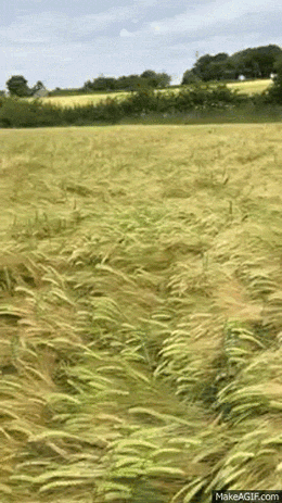 Анимированные приколы. Смотрим и отдыхаем!