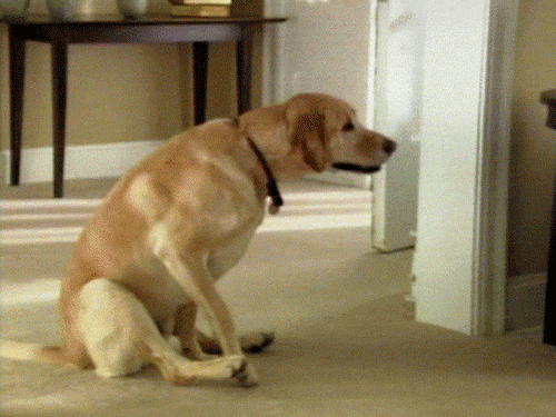 clip_image008