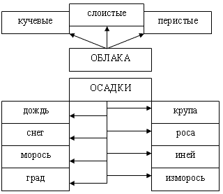 Ошибки в учебниках - смешные тексты и задания Ошибки в учебниках - смешные тексты и задания