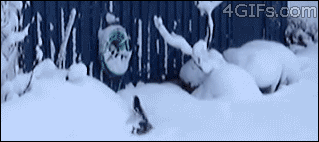 Блоги. Сплошное зверство 4