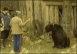 Блоги. Сплошное зверство 4