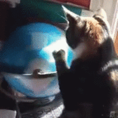 Протестировали американцев на знание географии России и ААААААА