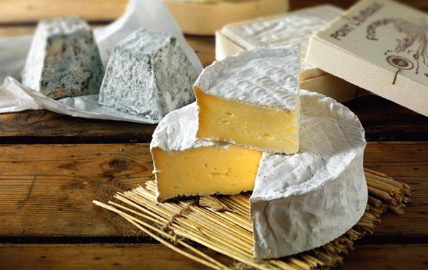 Законопроект об отправке санкционных продуктов как гумпомощи внесен в ГД Законопроект об отправке санкционных продуктов как гумпомощи внесен в ГД