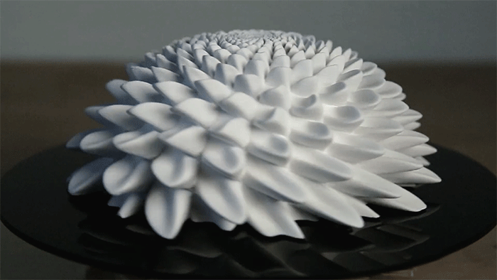 Числа Фибоначчи в удивительных 3D скульптурах  (2)