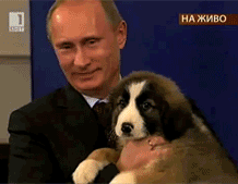Путин и собака