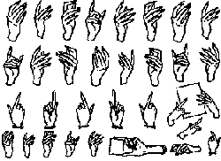 http://www.ido.rudn.ru/psychology/psychophysiology/8-1.gif