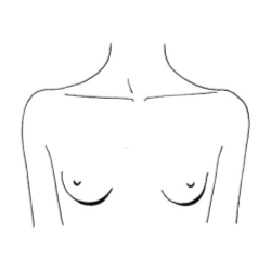 Форма груди и женский характер