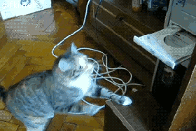 Кот электрик. Котики электрики. Гифки про электриков. Кот электромонтажник.