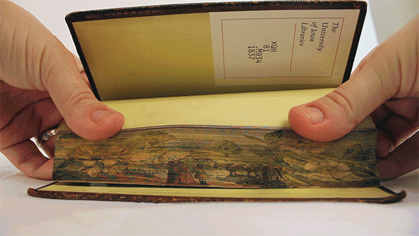 fore-edge-paintings-gif