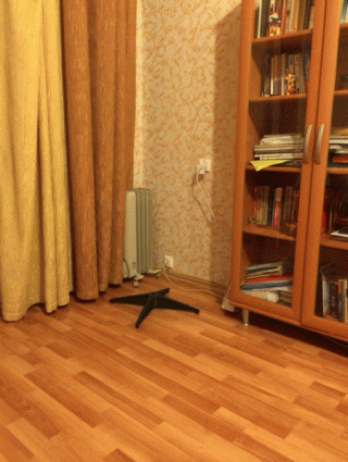 Забавные гифки 12