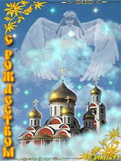 16 (240x320, 507Kb)
