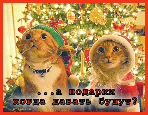 Мысли вслух - Ожидание Нового года