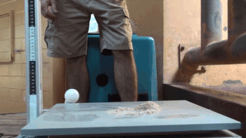 an animated gif showing how Kelly the elephant uses her trunk to grab bran cereal