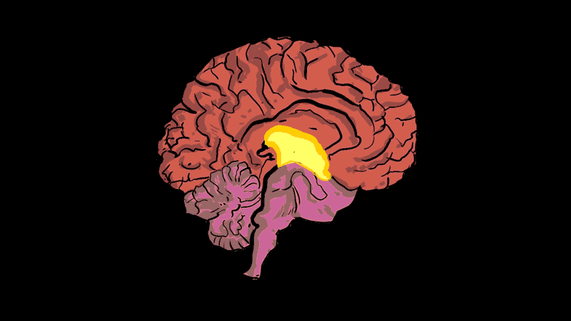 06_brain_drain-1