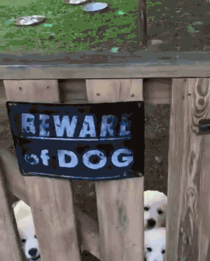 beware-Of-The-Dog-Signs-2-57ee7156f3c5e__605