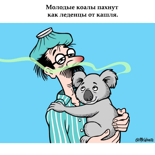 Занимательная зоология