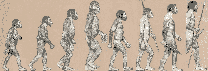 Указать предка человека. Хомо сапиенс неандерталец кроманьонец этапы развития человека. Этапы эволюции человека,хомо сапиенс. Эволюция человека хомосапиенс. Хомо сапиенс австралопитек Эволюция.