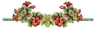 g21104 (303x96, 12Kb)