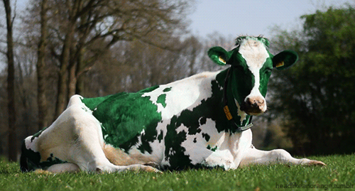 I think some people were confused about the colour of the cow in that last GIF. Here&#8217;s the original.
