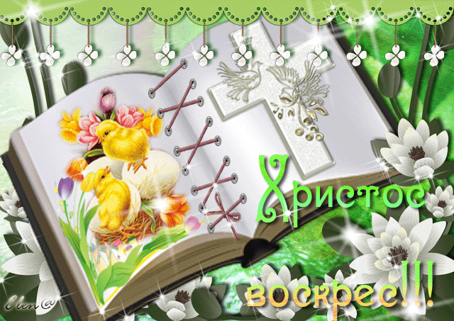 http://best-animation.ru/lanim/pacha/33.gif