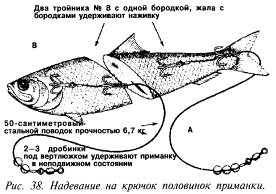 Надевание на крючок половинок приманки