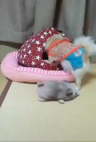 Без друга - никуда! Без друга - никуда!
