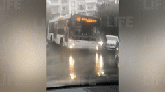 В Сочи женщина-таксист не поделила дорогу с автобусом и напала на водителя с кулаками — видео