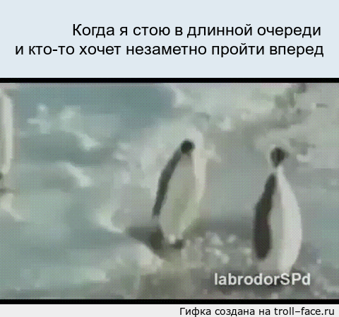 gifkah-situacii-zhiznennye-zhiznenno-komiks