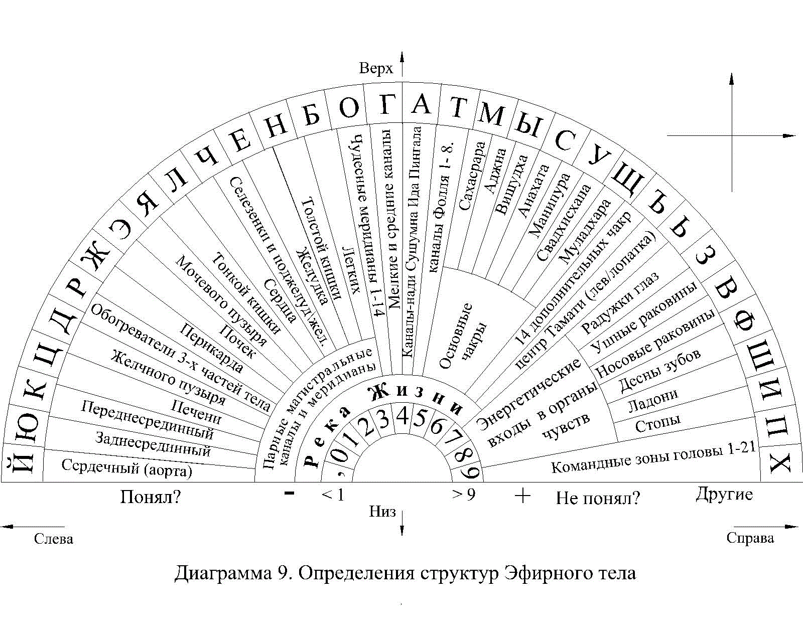 Диагностика маятником по фото