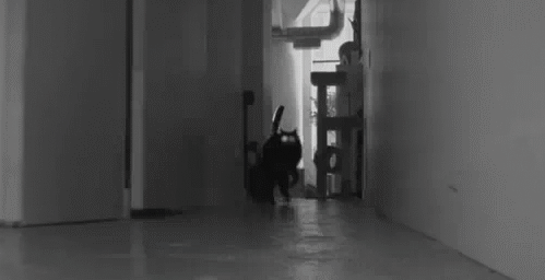 Hosted by imgur.com Кототерапия. Продолжение